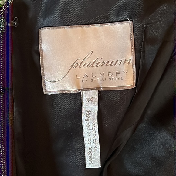 Platinum Laundry by Shelli Segal Party Dress. Size 14 - Picture 10 of 10